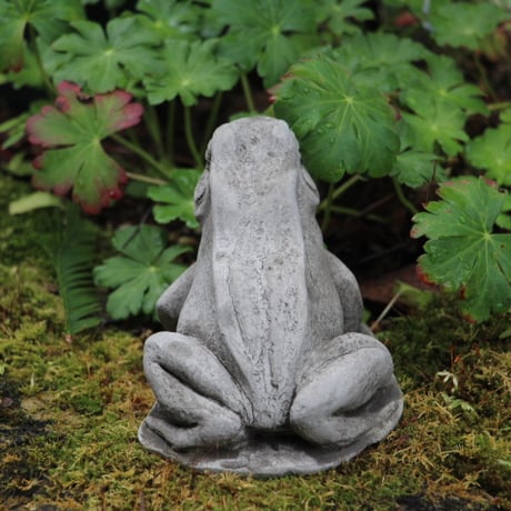 【ワンダーデコール】 SM34 /  SMALL FROG