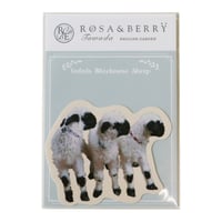 「Valais Blacknose Sheep」ステッカー3匹の仔羊