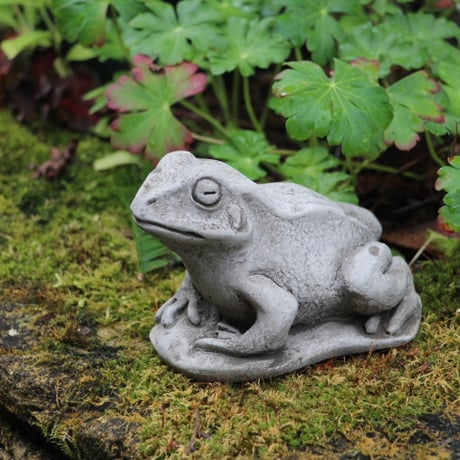 【ワンダーデコール】 SM34 /  SMALL FROG