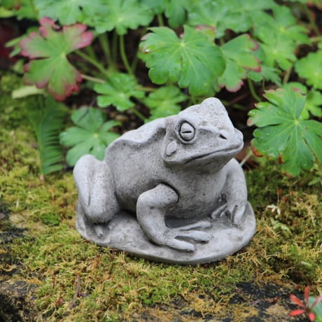 【ワンダーデコール】 SM34 /  SMALL FROG