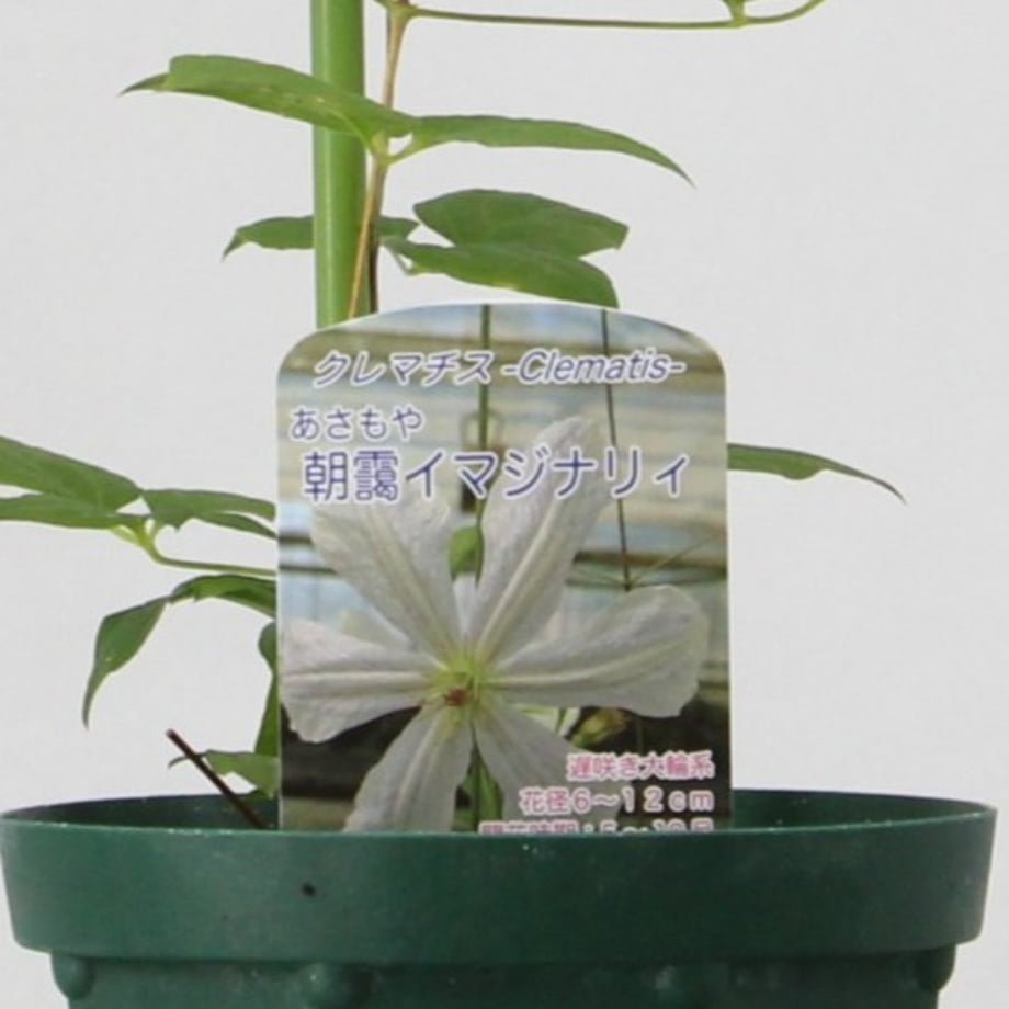6acd865fe48ed3cf87f333cf