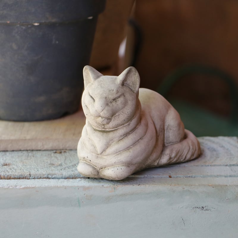 ワンダーデコール ミディコレクション 猫 ワンダーデコール ミディ