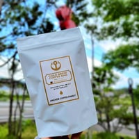水出しアイスコーヒー2袋セット（浅煎り）エチオピアゲイシャ🇪🇹