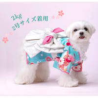 毬柄着物　1号(XS)～6号(XXL)