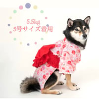 牡丹柄浴衣　1号(XS)～6号(XXL)