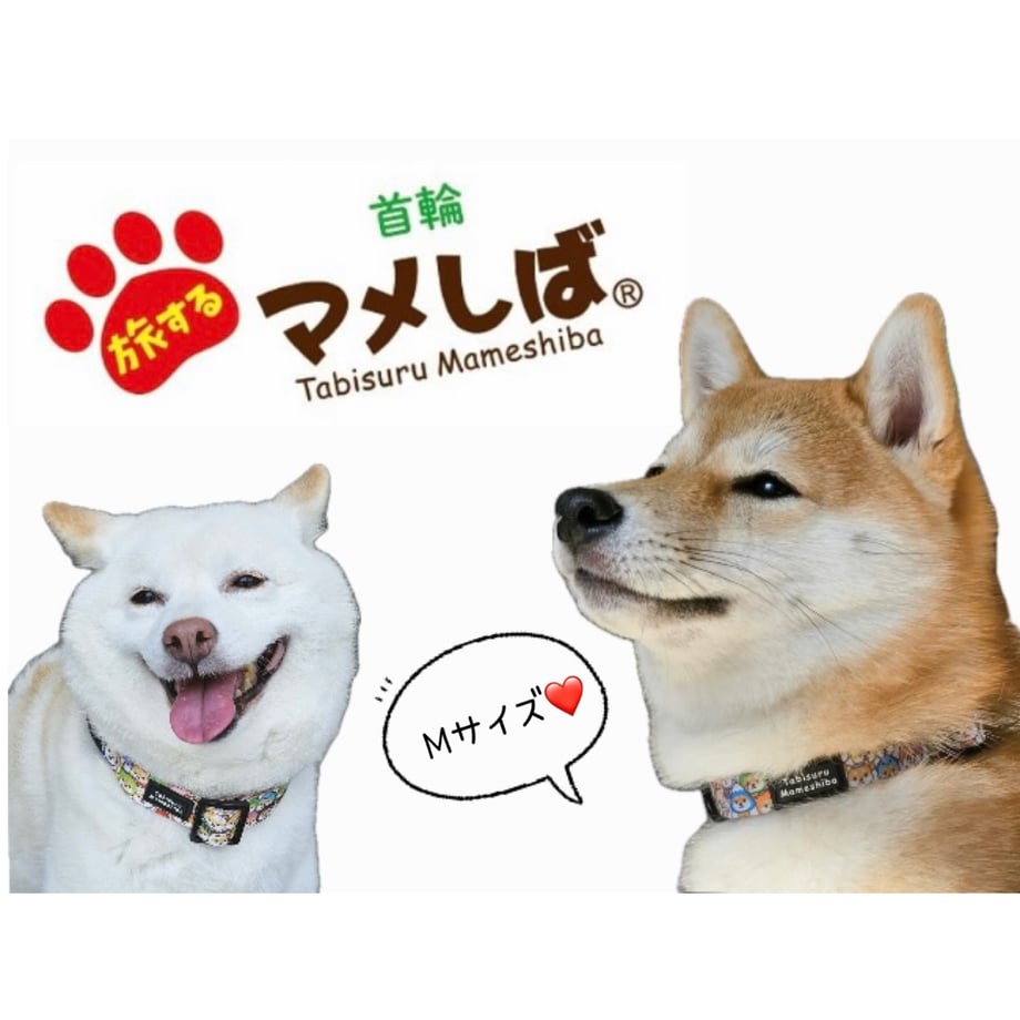 6a519bb39797c7173290535b