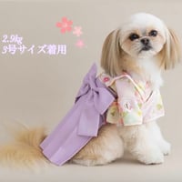 サイドリボン袴　1号(XS)～6号(XXL)