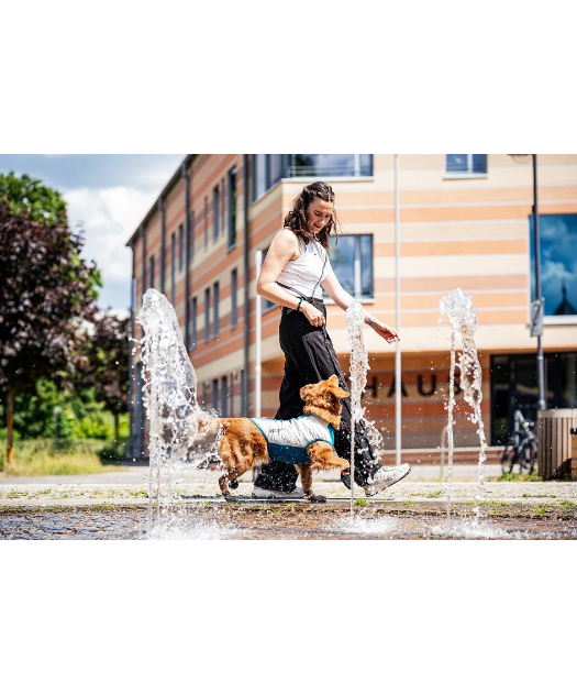 Non-stop dogwear] Touring bungee adjustable ブラ