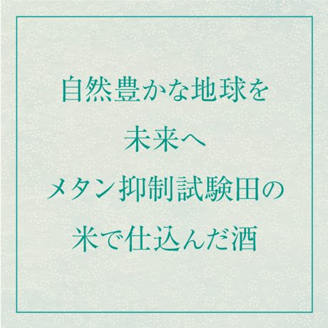 地球派 農薬低減栽培米 純米酒（超・低精白純米酒）720㎖（クレジット決済のみ）【お届け先は当社営業エリア内に限ります】