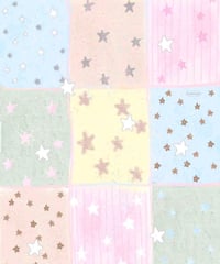 専用