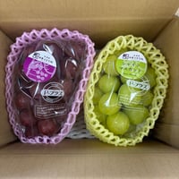 クール便☆シャインマスカット＋クイーンルージュ　１kg箱　２房　家庭用　☆９月上旬から１０月中旬に期間に発送☆