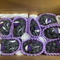 クール便☆ナガノパープル☆家庭用　４kg箱(６房～９房)３.８kg〜４.0kg　９月上旬