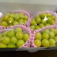 クール便☆送料お得２箱セット！　ギフト　☆シャインマスカット☆　２kg箱　(４房)１.８kg〜２.０kg☆10月上旬から発送☆