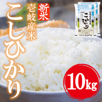 令和8年産 壱岐産 こしひかり 10kg