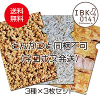 【送料無料：とんかつと同梱不可】いばらきの食材　美味しそうな！？クリアファイル3種×3枚セット