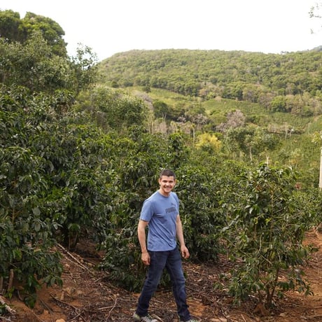 【NEW】Diego Armando Madrigal / Typica - Yellow Honey / COSTA RICA