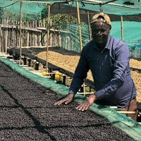 【NEW】Bekele Kachara - Natural / ETHIOPIA