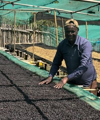 【NEW】🇪🇹Bekele Kachara - Natural
