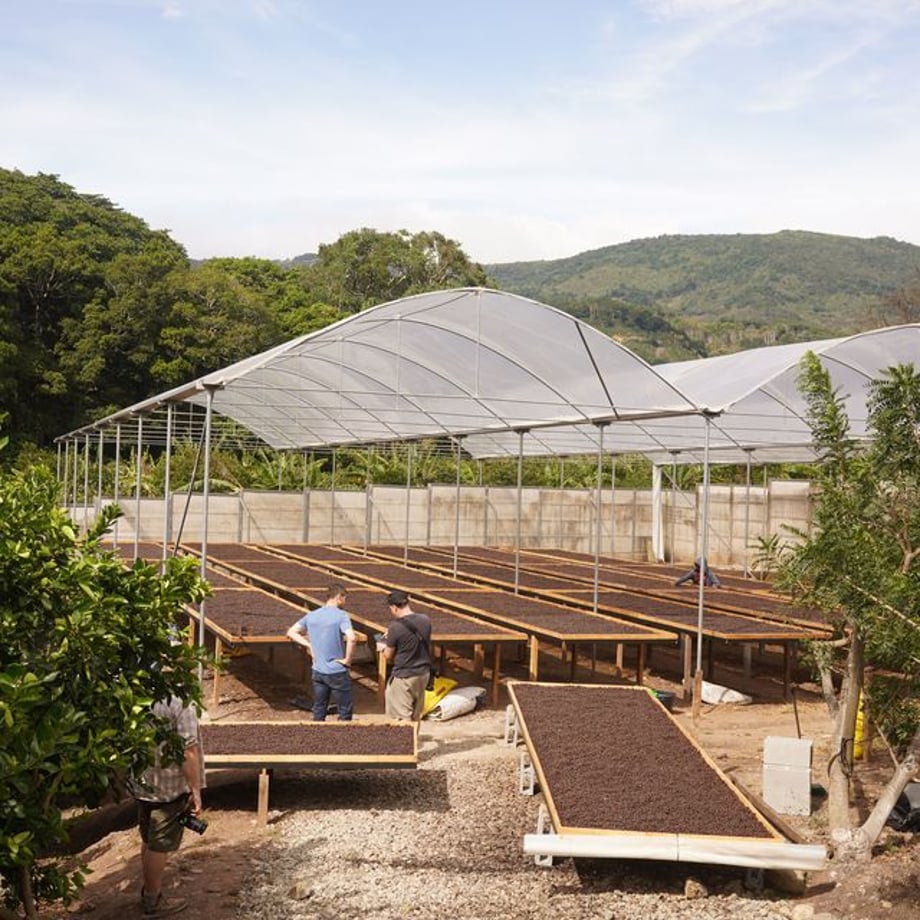 6a97dd355d2d4e17e6926abf