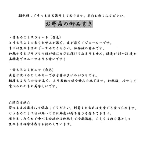 ＜随時発送中＞甘み濃縮、濃い味わい｜トウモロコシ「愛もろこし」黄色・白セット【ニッケイファーム　郡山市】