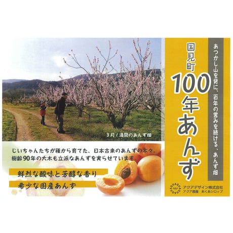 ＜随時発送中＞フレッシュな桃とあんず加工品をお届け｜「あくあシロップ」ギフト７～９月【アクア農園　福島市】