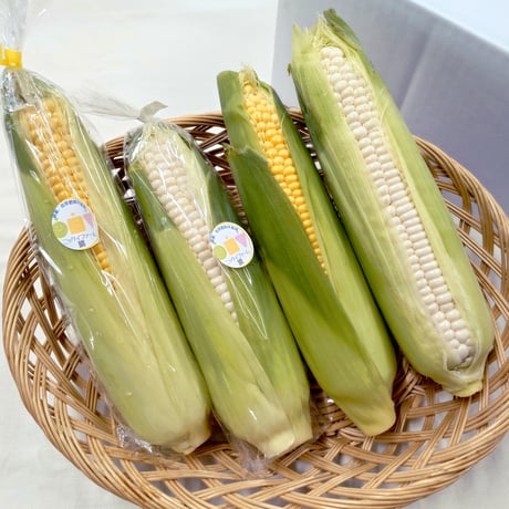 ＜随時発送中＞甘み濃縮、濃い味わい｜トウモロコシ「愛もろこし」黄色・白セット【ニッケイファーム　郡山市】