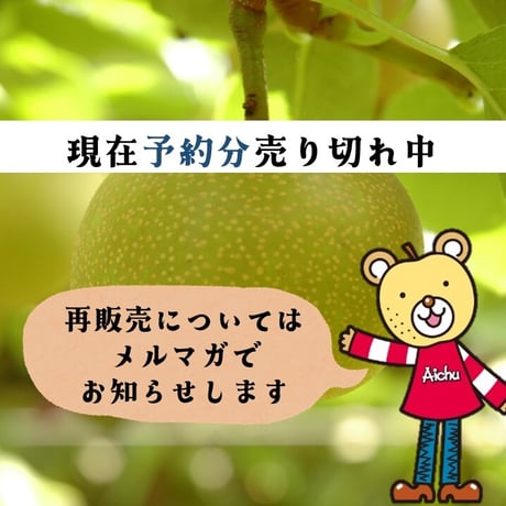 【御中元のし付】安城梨『愛甘水』　3㎏箱・6-8玉入り