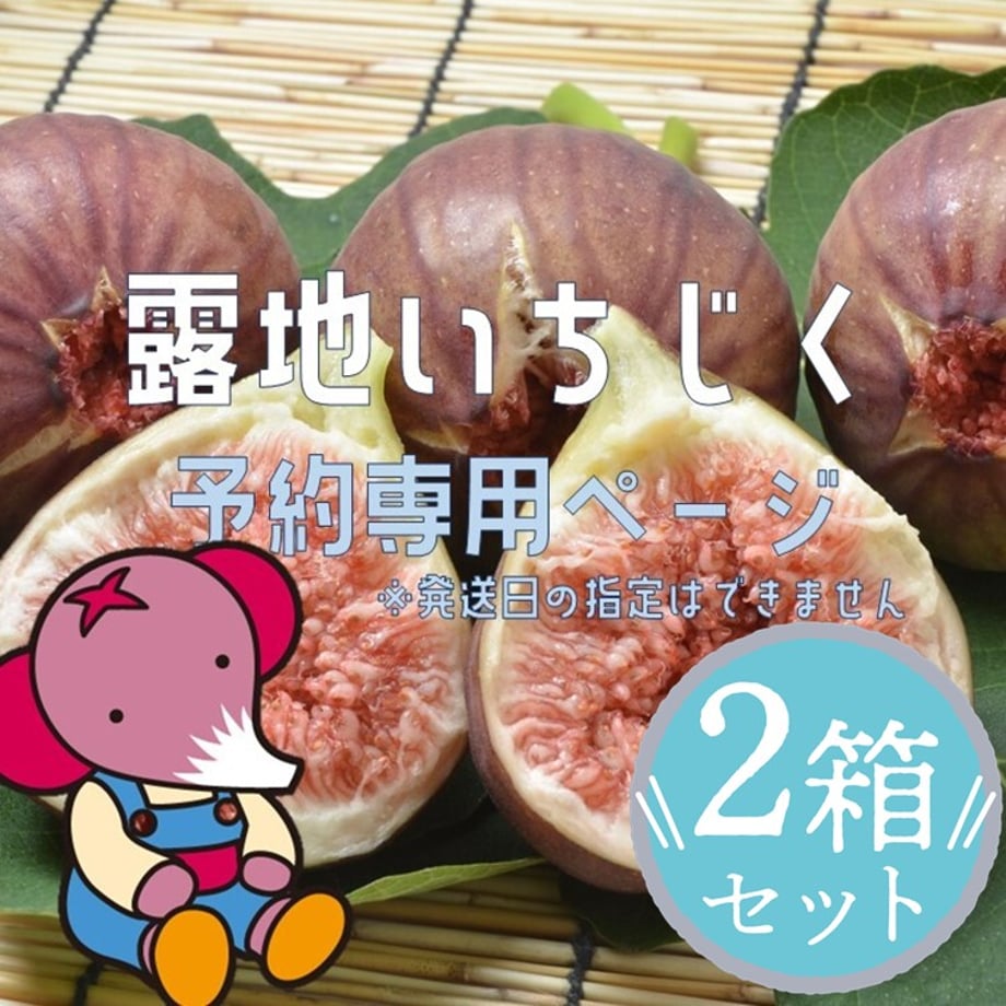 6a82d048c65008192856d482