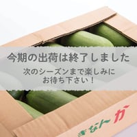 【愛知県碧南市産】早生かりもり　4㎏箱・2Ｌサイズ（8～9玉入）【愛知の伝統野菜】