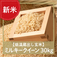 【10/3（土）10：00～12：00引渡し】低温蔵出し玄米令和8年米ミルキークイーン30kg