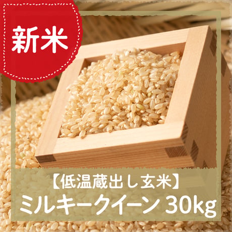 【10/3（土）10：00～12：00引渡し】低温蔵出し玄米令和8年米ミルキークイーン30kg