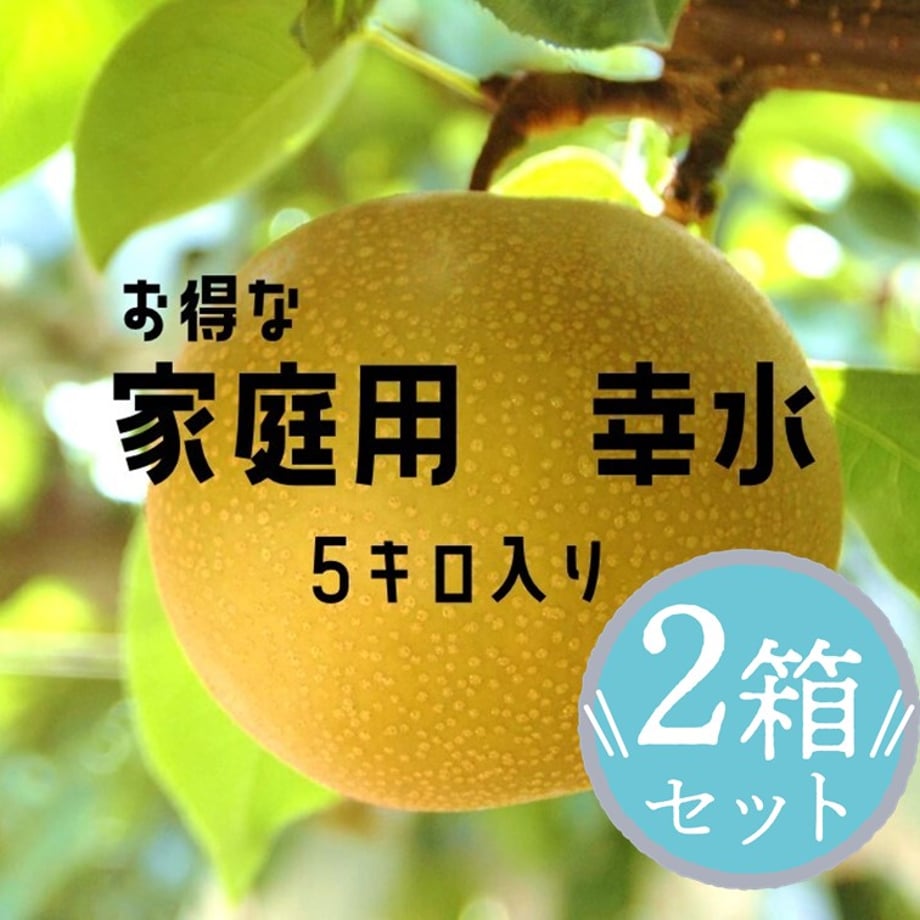 68a3da43d501982750683f97