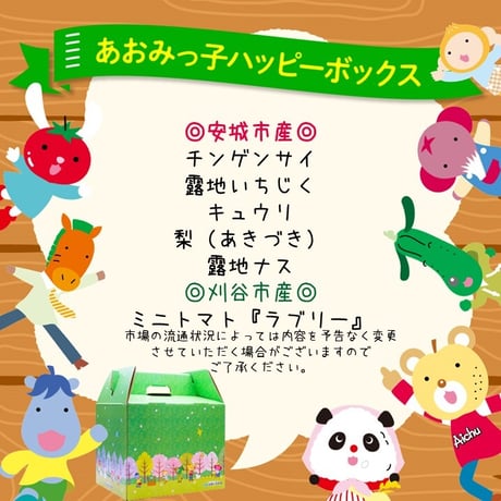 【2口目用・定期便・１ヶ月毎】あおみっ子ハッピーボックス
