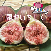 【愛知県安城市/碧南市産他】露地いちじく　2パック入箱（3～5玉入・350g/ﾊﾟｯｸ）