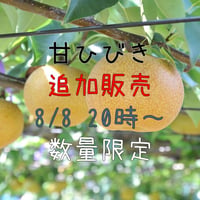 ★追加販売　【愛知県安城市/刈谷市産】安城梨『甘ひびき』　大玉サイズ・2玉入り