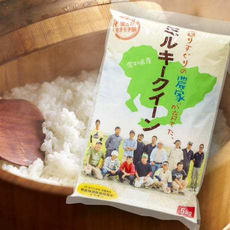 【定期便】愛知県産ミルキークイーン白米5kg　★令和8年産米！