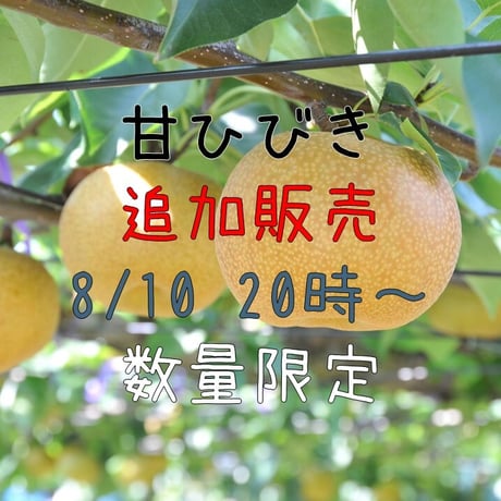 ★追加販売　【愛知県安城市/刈谷市産】安城梨『甘ひびき』　大玉サイズ・2玉入り
