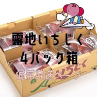 【愛知県安城市/碧南市産他】露地いちじく　◎4パック入箱