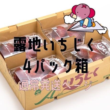 【愛知県安城市/碧南市産他】露地いちじく　◎4パック入箱