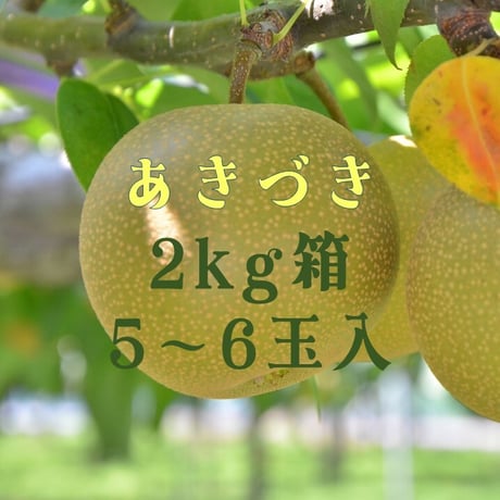 【愛知県安城市/刈谷市産他】安城梨『あきづき』　2㎏箱・5~6玉入り