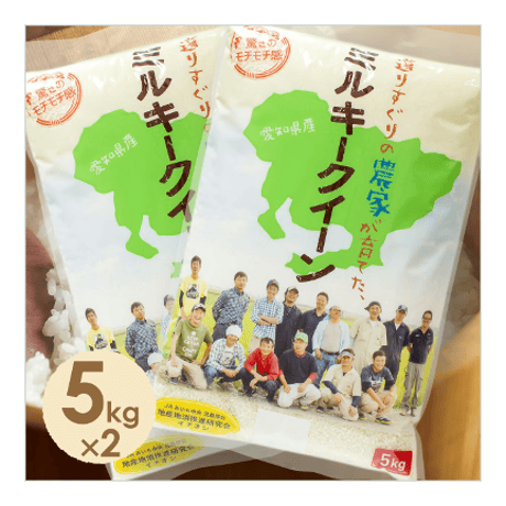 【定期便】愛知県産ミルキークイーン白米10kg　★令和8年産米！