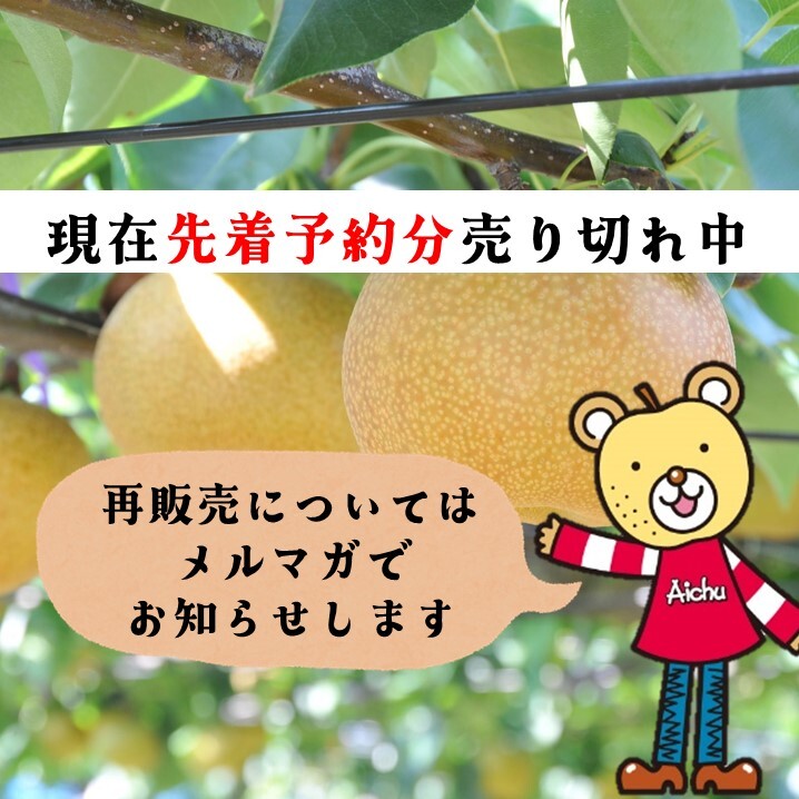 愛知県安城市/刈谷市産他】安城梨・甘ひびき 大玉サイズ・2玉入り（1玉