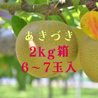 【愛知県安城市/刈谷市産他】安城梨『あきづき』　2㎏箱・6~7玉入り