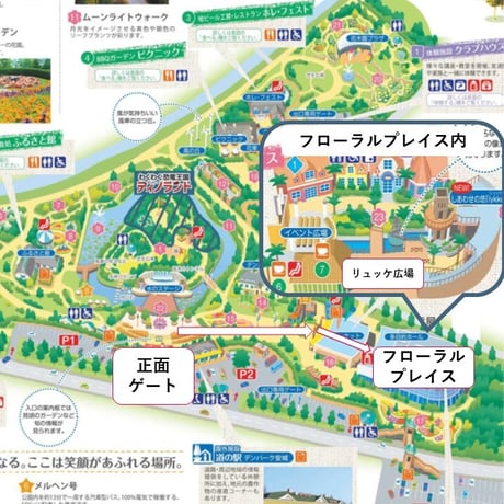 【令和8年11月7日(土)開催】”碧海そだち”『季節の寄せ植えワークショップ』