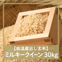 【10/3（土）10：00～12：00引渡し】低温蔵出し玄米令和7年産ミルキークイーン30kg