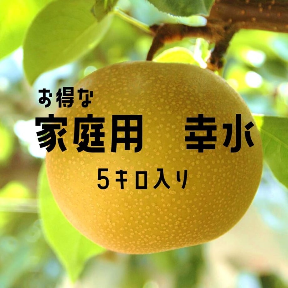6a6adfdf9e24a142001b68d2