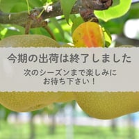【愛知県安城市/刈谷市産他】安城梨『あきづき』　3㎏箱・5～8玉入り