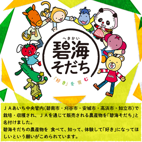 【愛知県安城市産他】安城梨『家庭用・幸水』　5㎏箱・10～14玉　1箱