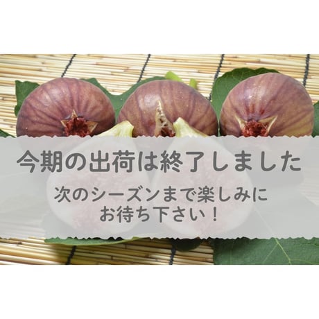 【愛知県安城市/碧南市産他】露地いちじく　◎4パック入箱  【予約分】