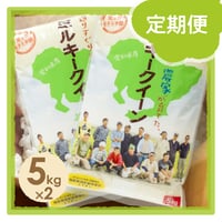 【定期便】愛知県産ミルキークイーン白米10kg　★令和8年産米！